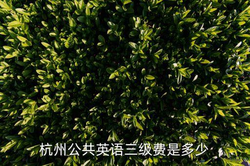 杭州公共英语三级费是多少