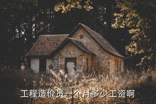 工程造价员一个月多少工资啊