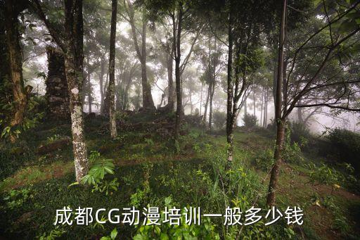 成都CG动漫培训一般多少钱
