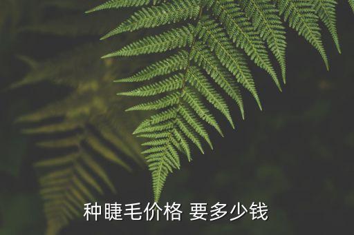 种睫毛价格 要多少钱