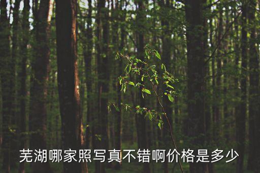 芜湖哪家照写真不错啊价格是多少