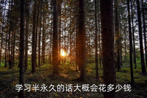 半永久美瞳线培训费用是多少，半永久要多少钱可以学得会
