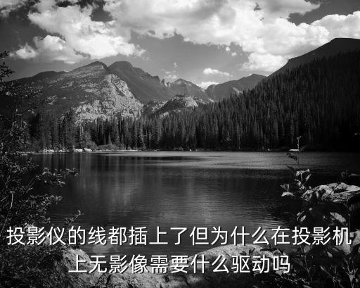 投影仪的线都插上了但为什么在投影机上无影像需要什么驱动吗