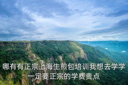 哪有有正宗上海生煎包培训我想去学学一定要正宗的学费贵点