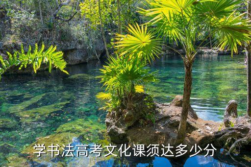 学书法高考文化课须达多少分