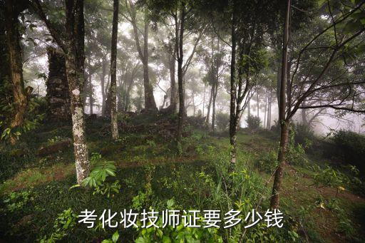 考技师证要多少钱，考化妆技师证要多少钱