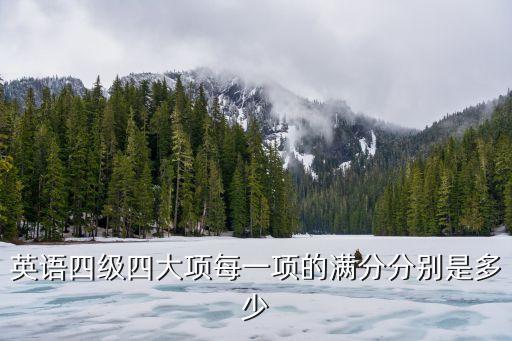 英语四级四大项每一项的满分分别是多少
