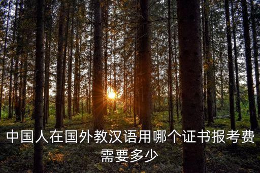 中国人在国外教汉语用哪个证书报考费需要多少