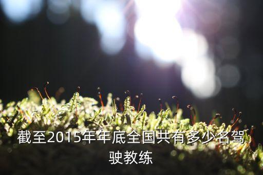 截至2015年年底全国共有多少名驾驶教练