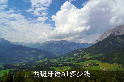 西班牙语a1多少钱