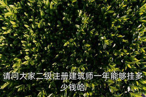 请问大家二级注册建筑师一年能够挂多少钱哈