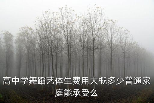 高中学舞蹈艺体生费用大概多少普通家庭能承受么