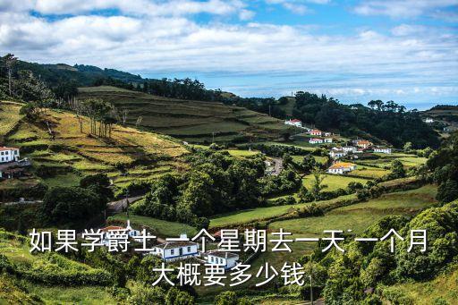 如果学爵士 一个星期去一天 一个月大概要多少钱