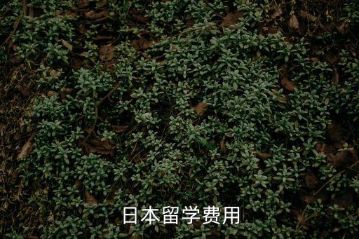日本留学费用