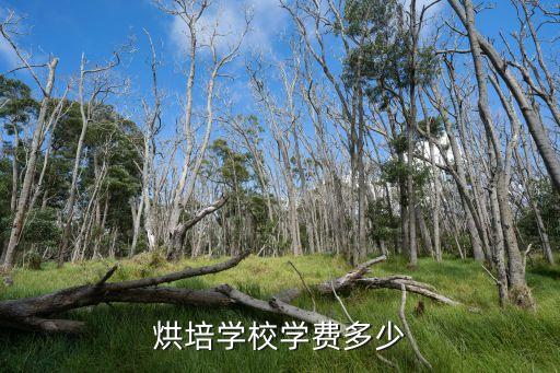 烘培学校学费多少