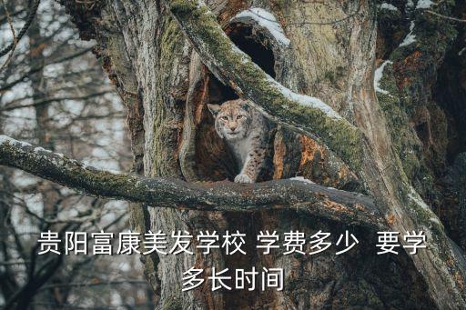 贵阳富康美发学校 学费多少  要学多长时间
