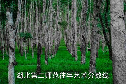 湖北第二师范往年艺术分数线