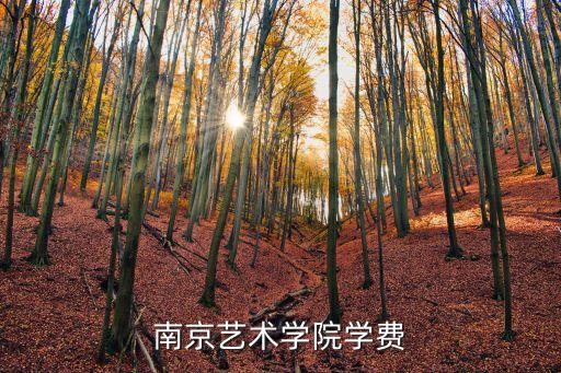 南京艺术学院学费