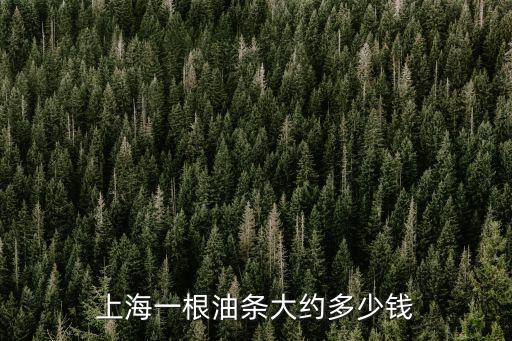 上海一根油条大约多少钱