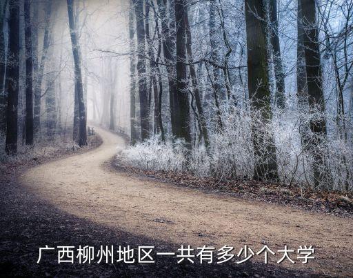 柳州市有多少大学，柳州有几个大学