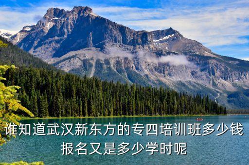 新东方专四培训多少钱，武汉的新东方英语四六级培训学费是多少