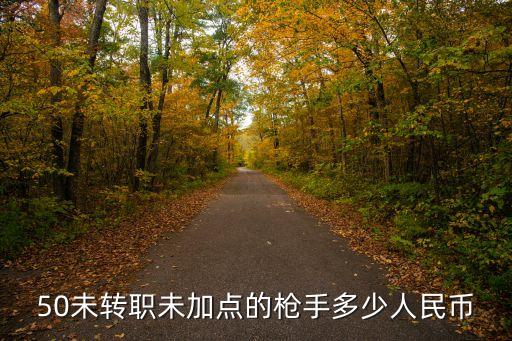 50未转职未加点的枪手多少人民币