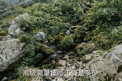 测绘高级技师值多少钱，2020年测量测绘高工多少钱