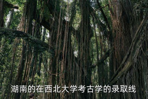 西北大学在湖南招多少学生，西北大学招生人数
