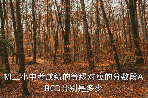 初二小中考成绩的等级对应的分数段ABCD分别是多少
