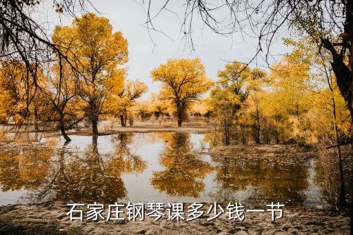 石家庄钢琴课多少钱一节