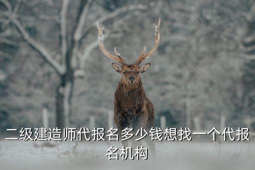 合肥二建代报名多少钱，二建代报名需要多少费用