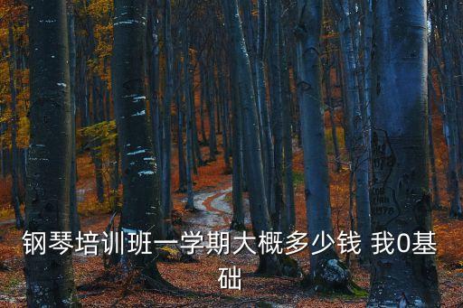 钢琴培训班一学期大概多少钱 我0基础