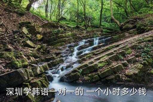 深圳学韩语一对一的 一个小时多少钱