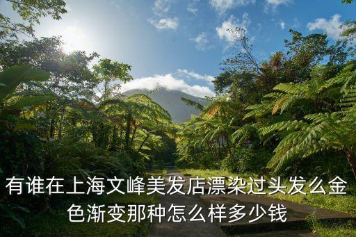 有谁在上海文峰美发店漂染过头发么金色渐变那种怎么样多少钱