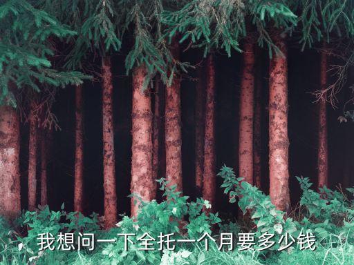 我想问一下全托一个月要多少钱