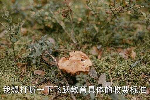 我想打听一下飞跃教育具体的收费标准