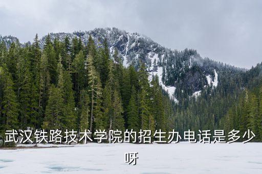 大专高铁招生办电话多少，西安铁路职业技术学招生电话是多少