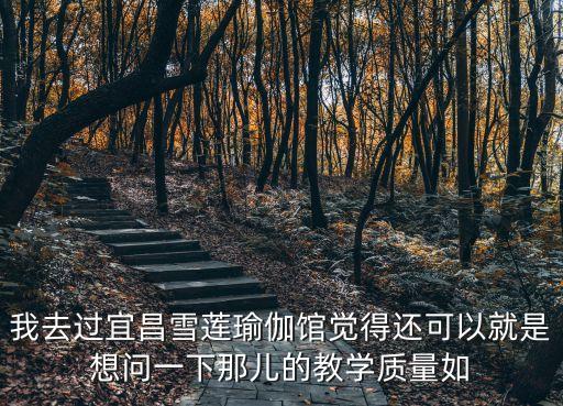 我去过宜昌雪莲瑜伽馆觉得还可以就是想问一下那儿的教学质量如