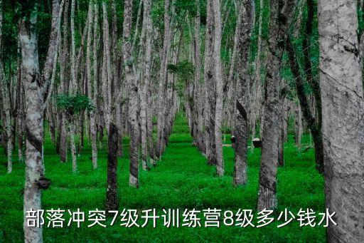 部落冲突7级升训练营8级多少钱水