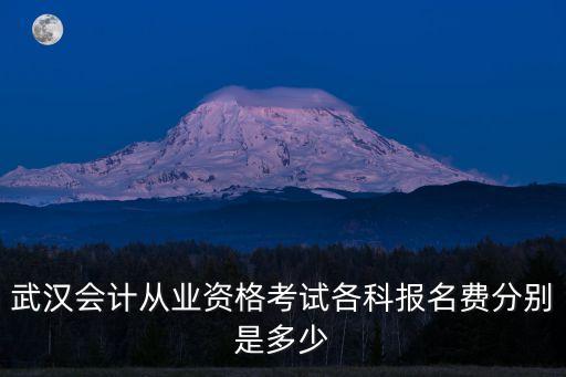 武汉会计从业资格考试各科报名费分别是多少