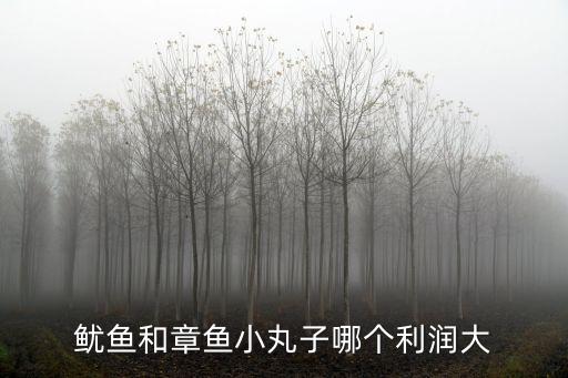 鱿鱼和章鱼小丸子哪个利润大