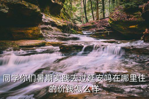 同学你们暑期实践去过延安吗在哪里住的价钱怎么样