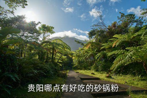 贵阳哪点有好吃的砂锅粉