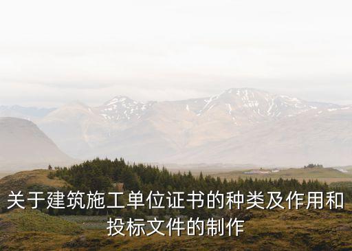 关于建筑施工单位证书的种类及作用和投标文件的制作