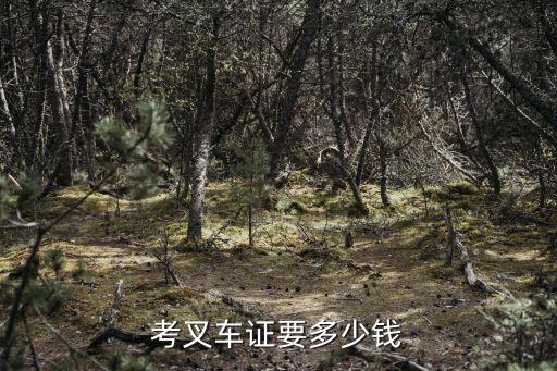 考叉车证要多少钱