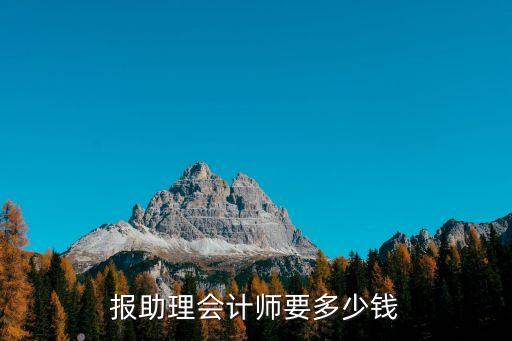 报助理会计师要多少钱