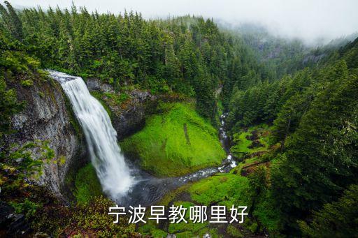 宁波1  1早教中心多少钱，宁波早教哪里好