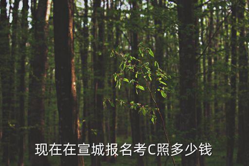 现在在宣城报名考C照多少钱