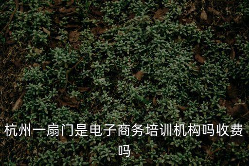 杭州一扇门是电子商务培训机构吗收费吗