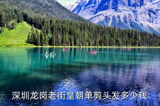 深圳龙岗区女士剪头多少钱，深圳剪个头发多少钱